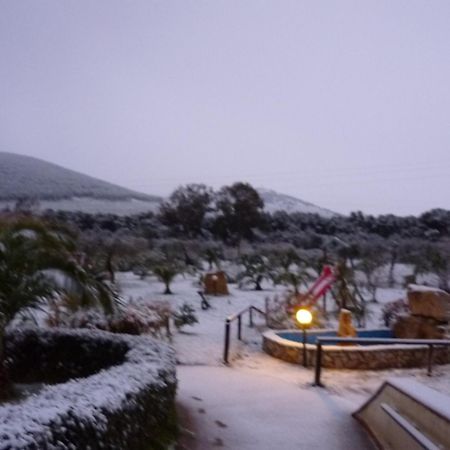 Agriturismo Isidoro Fertilia Bagian luar foto