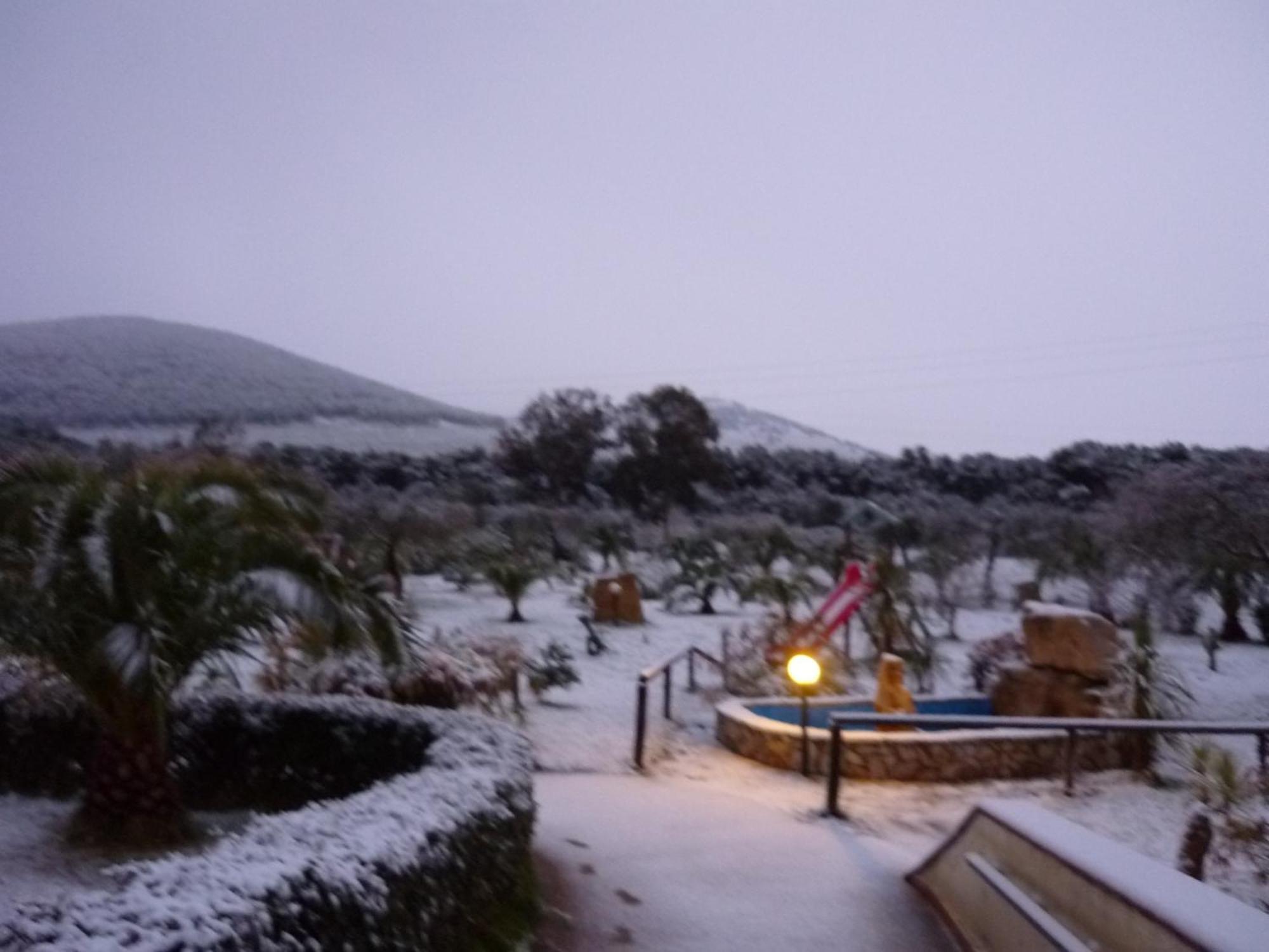 Agriturismo Isidoro Fertilia Bagian luar foto