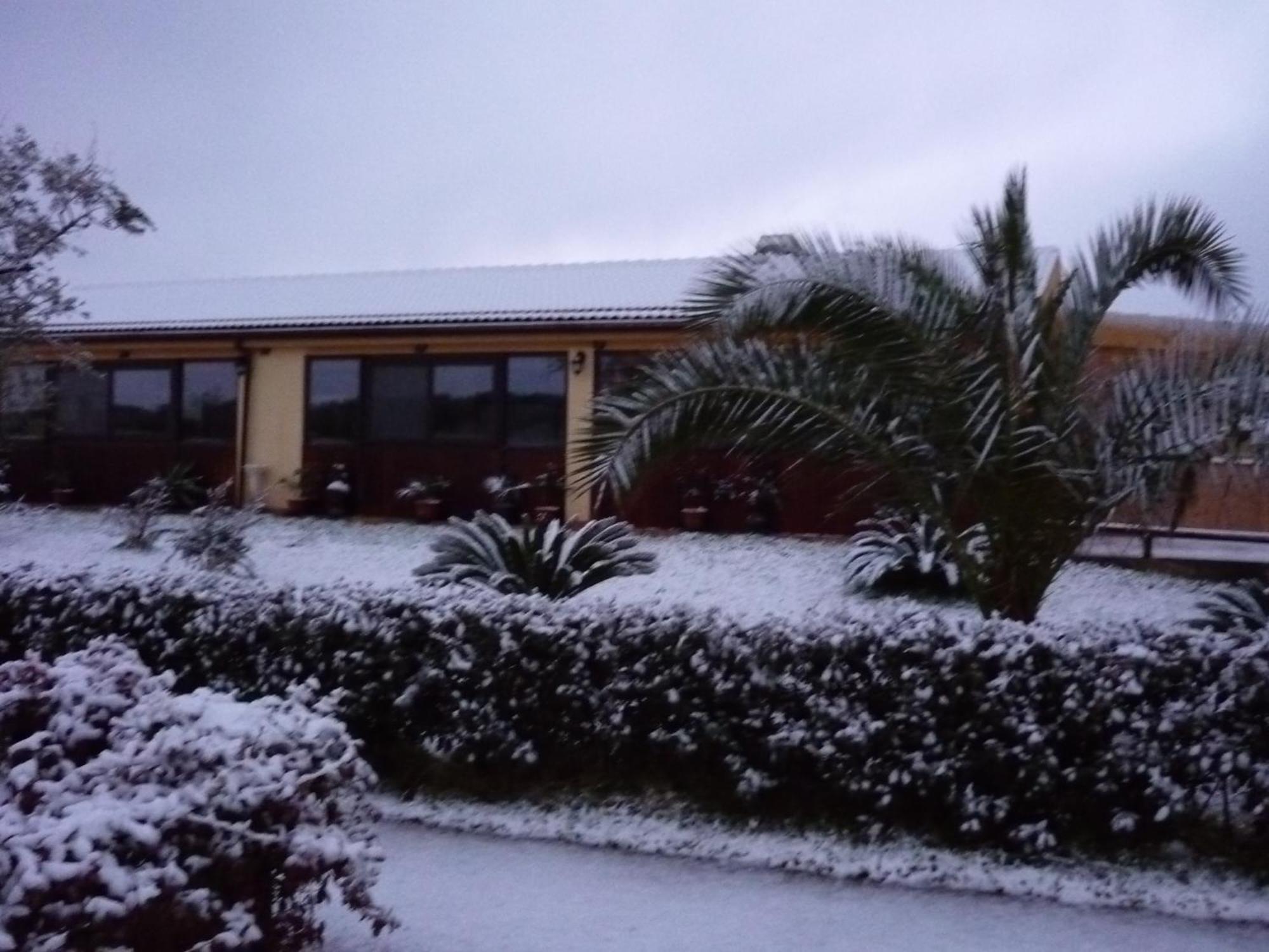 Agriturismo Isidoro Fertilia Bagian luar foto